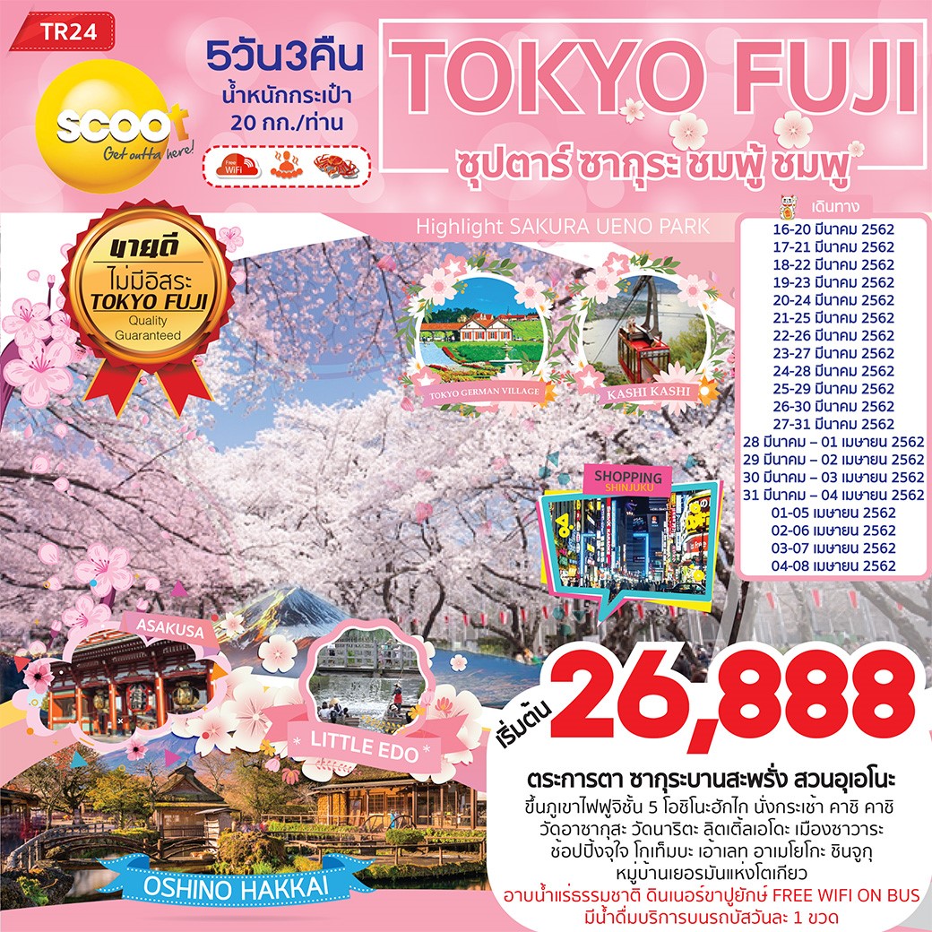 TOKYO FUJI ซุปตาร์ ซากุระ ชมพู้ ชมพู (TR24)