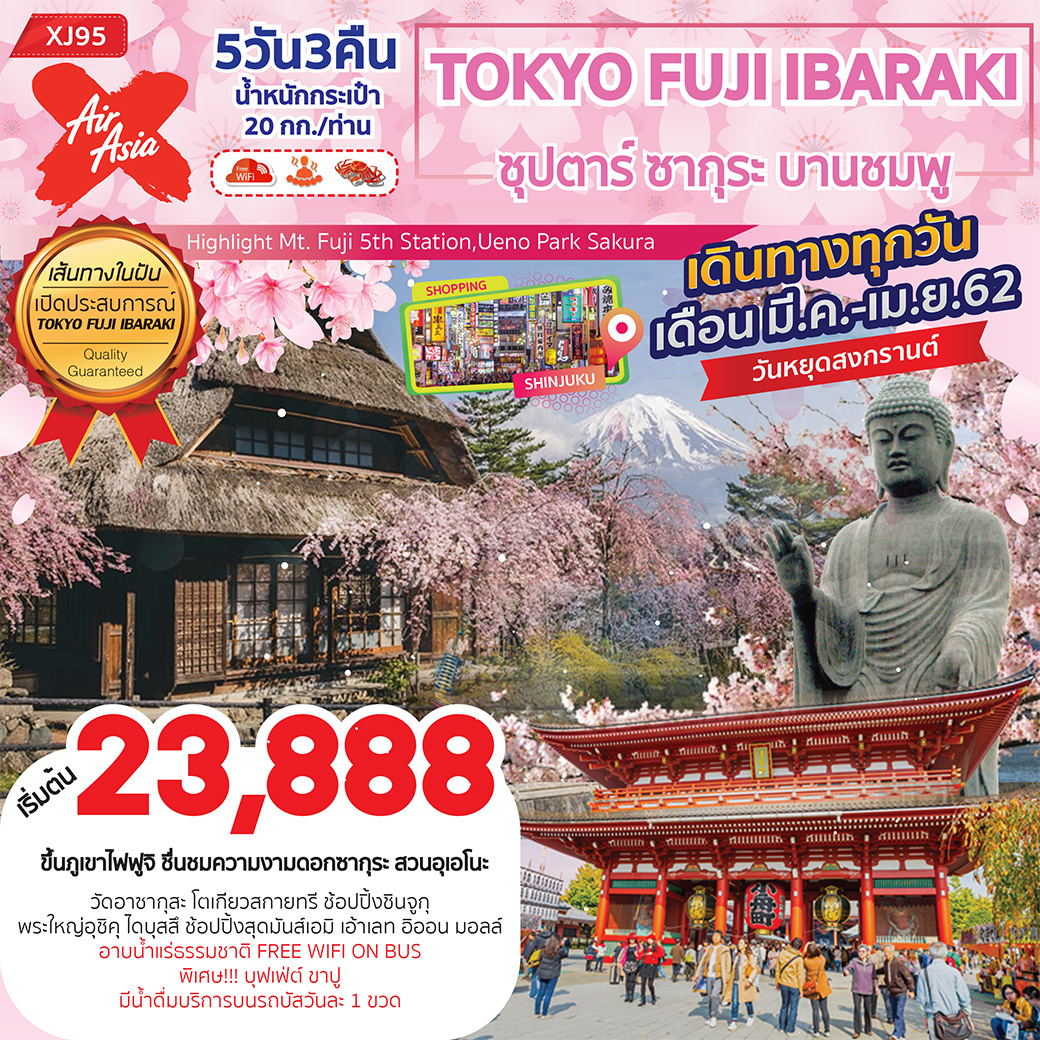 TOKYO FUJI IBARAKI ซุปตาร์ ซากุระ บานชมพู (XJ95)