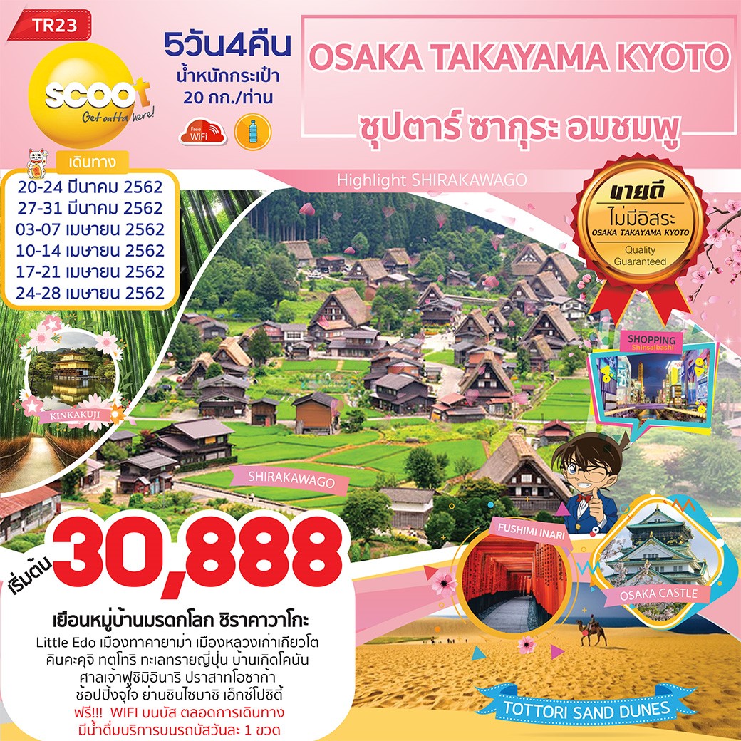 OSAKA TAKAYAMA KYOTO ซุปตาร์ ซากุระ อมชมพู (TR23)