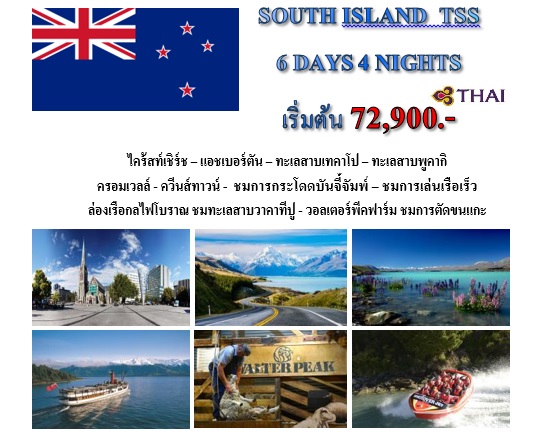 PROMOTION SOUTH TSS