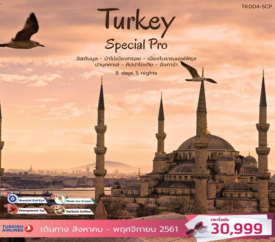 SPECIAL PRO TURKEY