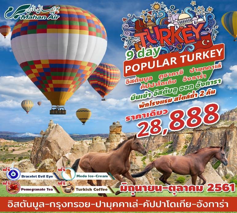 POPULAR TURKEY