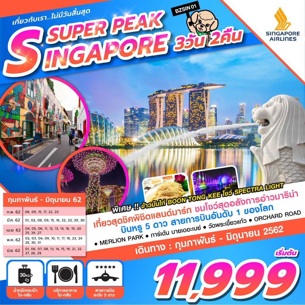 SUPER PEAK SINGAPORE(BZSIN01)