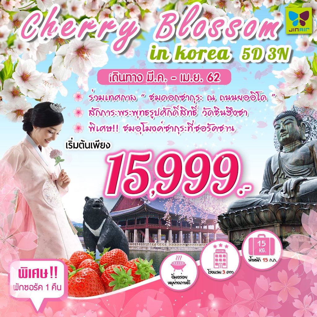CHERRY BLOSSOM IN KOREA (พักซอรัค)