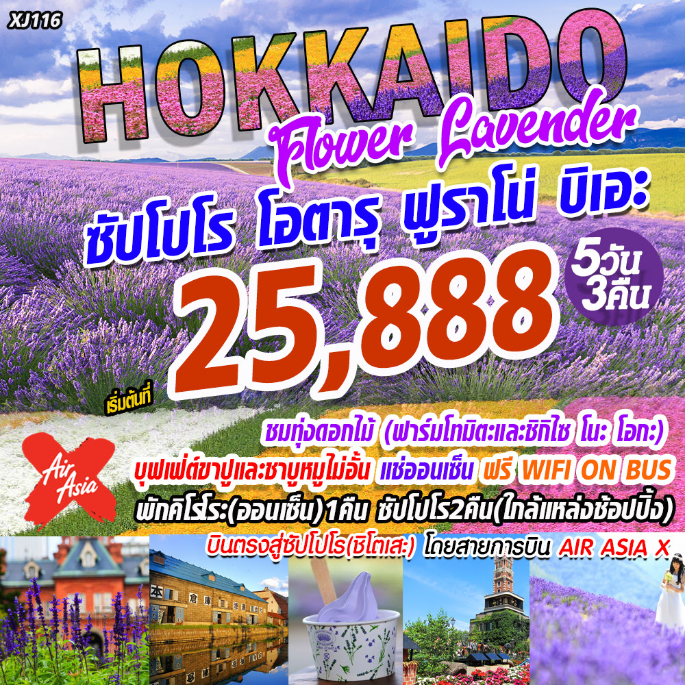 Hokkaido Flower Lavender ซัปโปโร โอตารุ ฟูราโน่ บิเอะ (XJ116)